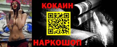 гашик Гатчина