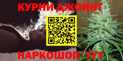 гашик Гатчина