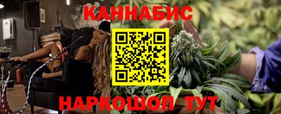 мдпв Гусев