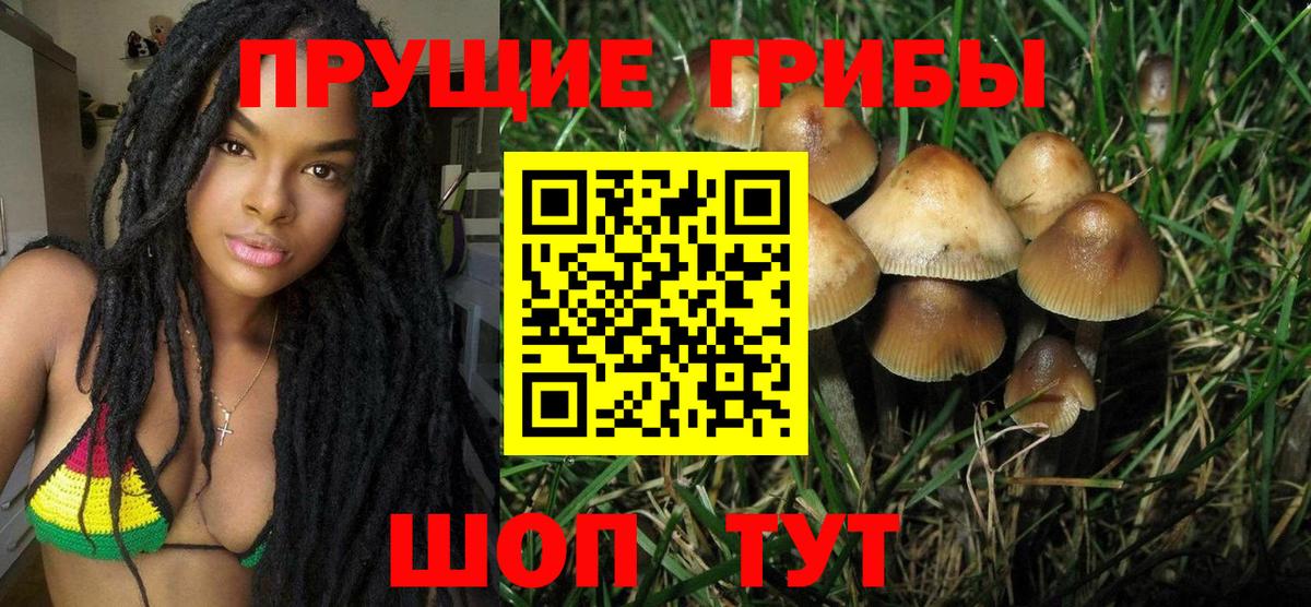 Псилоцибиновые грибы GOLDEN TEACHER Невинномысск