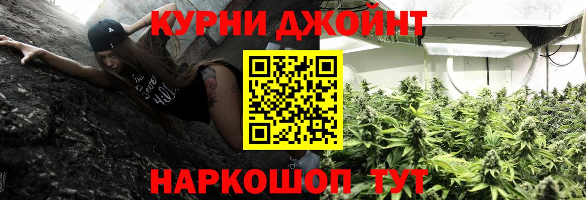 Канабис сатива Невинномысск